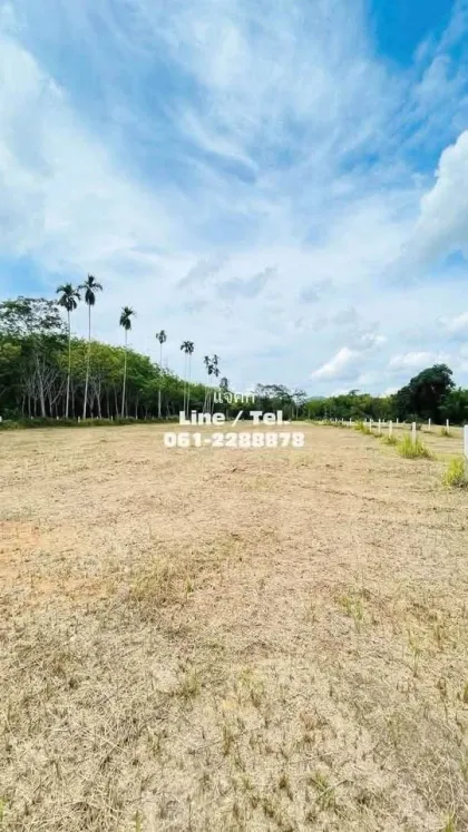 邦通山景土地出售，攀牙府