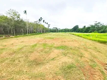 邦通山景土地出售，攀牙府