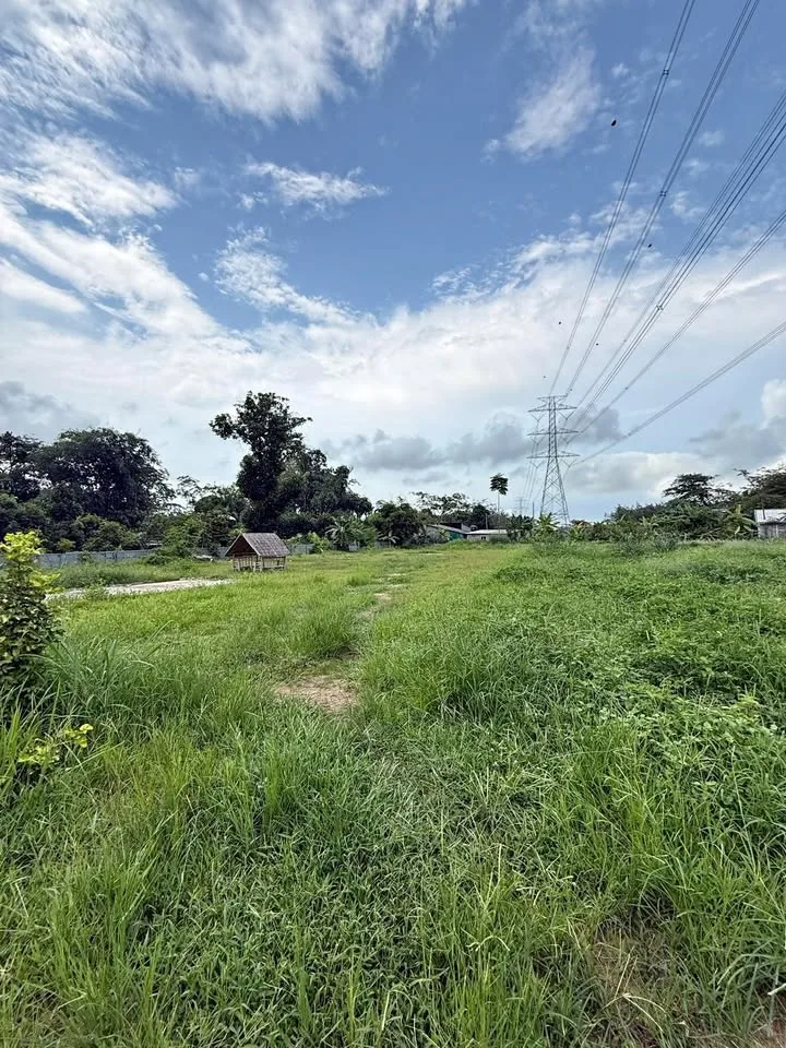 Affordable Land for Sale in Pa Krong Cheep, Thalang, Phuket
