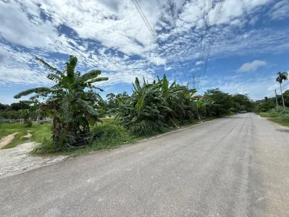 Affordable Land for Sale in Pa Krong Cheep, Thalang, Phuket