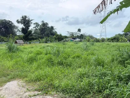 Affordable Land for Sale in Pa Krong Cheep, Thalang, Phuket