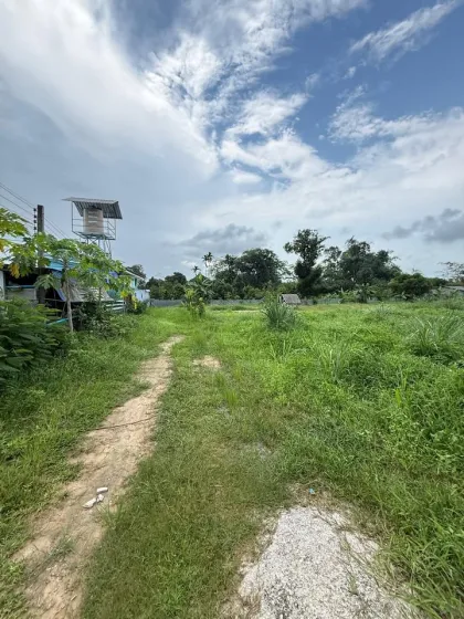Affordable Land for Sale in Pa Krong Cheep, Thalang, Phuket