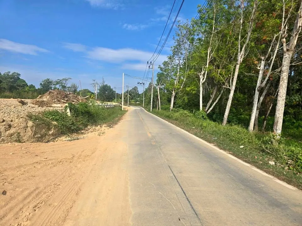 ที่ดินขายในในยาง ใกล้ถนนเทพกระษัตรี-สาคู-ในยาง, ถลาง
