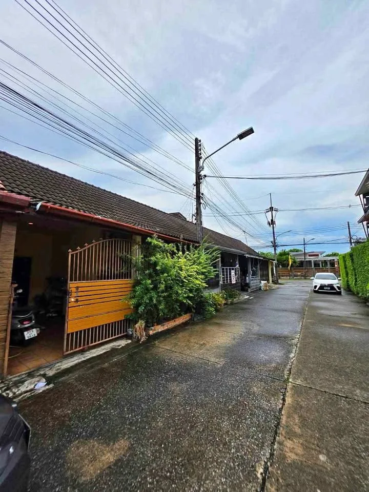 บ้าน 2 ห้องนอน 1 ห้องน้ำ โซนป่าหล่าย ขายตามสภาพ