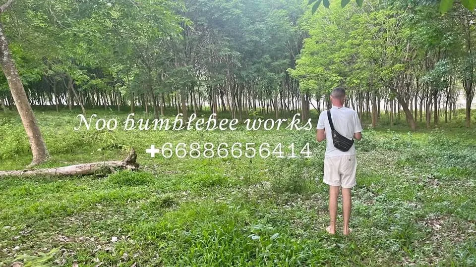 10 Rai Grundstück in Pasak - Chengtale, Thalang, Phuket zu verkaufen