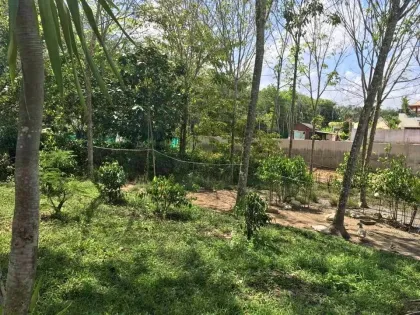 普吉岛Soi Pa Sak 8区1莱土地出售，售价2000万泰铢
