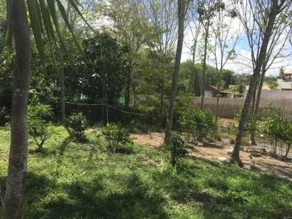 普吉岛Soi Pa Sak 8区1莱土地出售，售价2000万泰铢