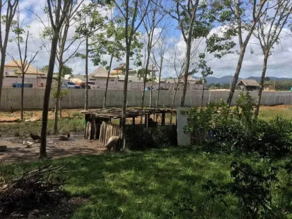 普吉岛Soi Pa Sak 8区1莱土地出售，售价2000万泰铢