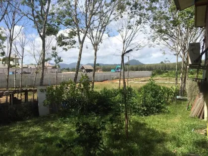 普吉岛Soi Pa Sak 8区1莱土地出售，售价2000万泰铢