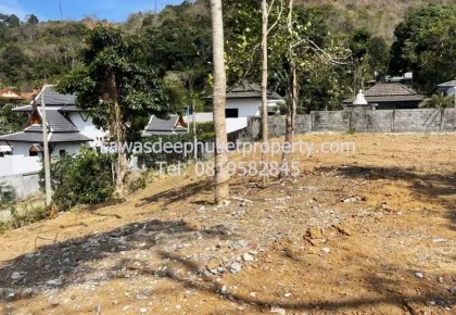Terrain de 554 m² avec titre foncier Chanote à vendre à Nai Harn