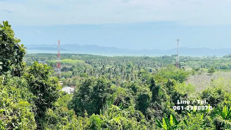 Beautiful 2 Rai Sea View Vacant Land for Sale in Pa Khlok, Thalang, Phuket