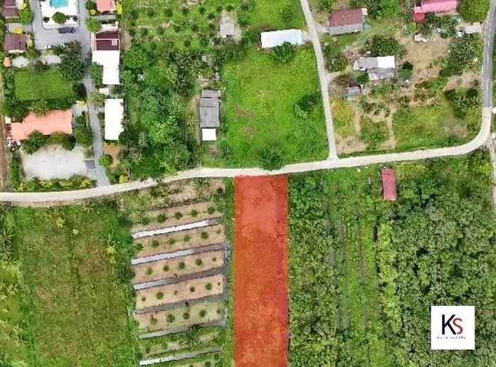 Land for Sale in Thalang, Phuket – 2 Rai 86 Sq.Wah with Chanote